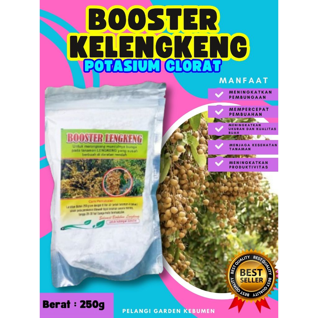 PALING DICARI  Boster Kelengkeng Cangkokan