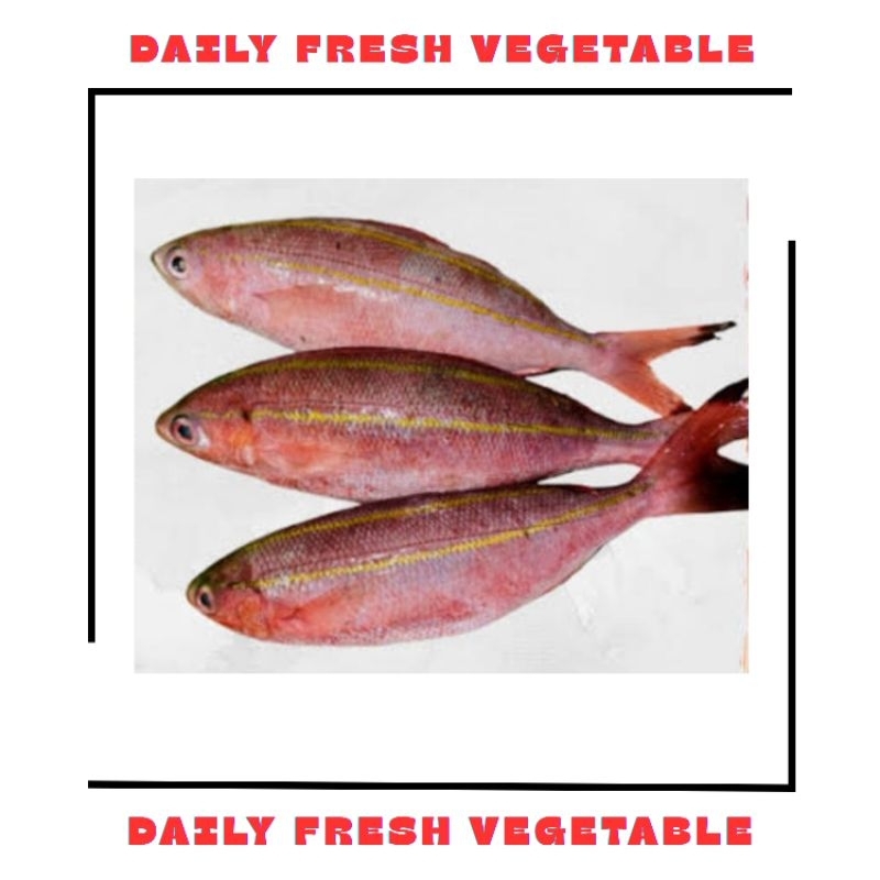 

Ikan Pisang Pisang Fresh 500gr