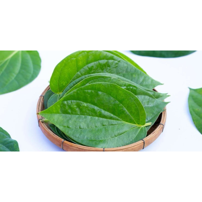 

DAUN SIRIH HERBAL 15 LEMBAR