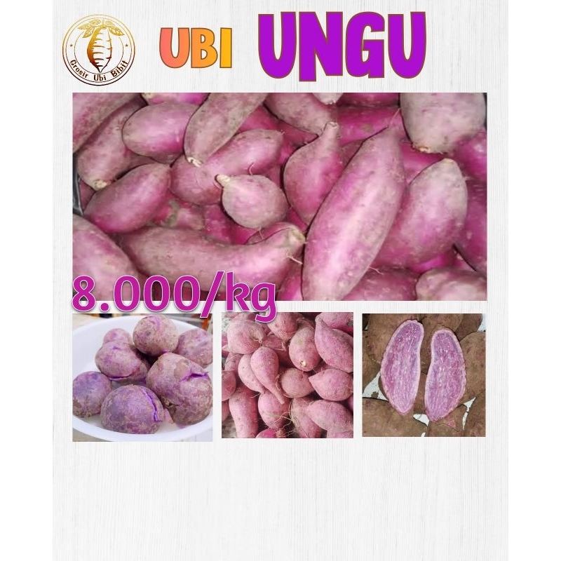 

500 gram Ubi Ungu uk standart FRESH tinggi anti oksidan