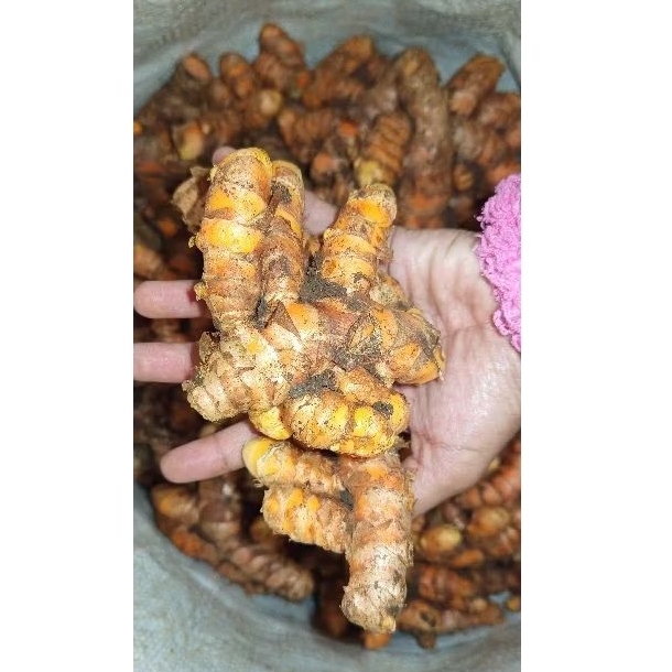 

kunyit/ kunir super 1kg basah