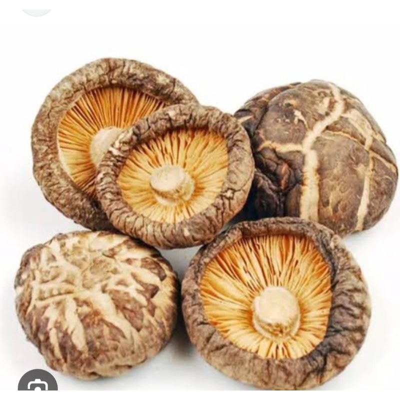 

JAMUR SHITAKE KERING