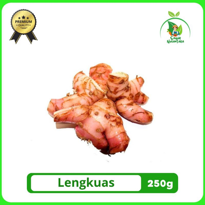 

Lengkuas/Laos [100g/250g] FRESH ORIGINAL