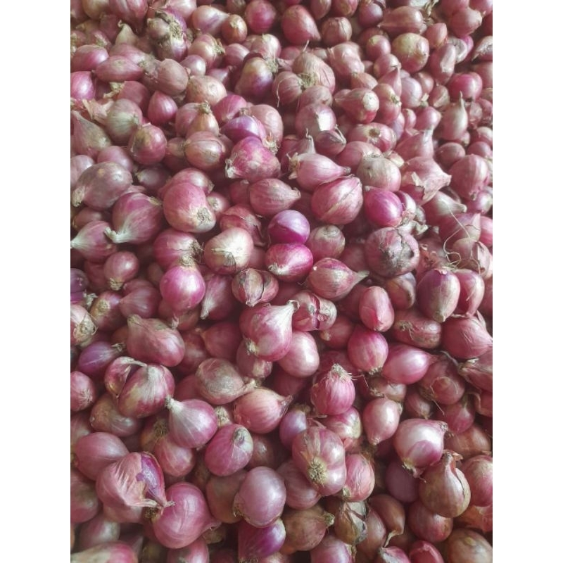 

Bawang merah jawa super 500 gr