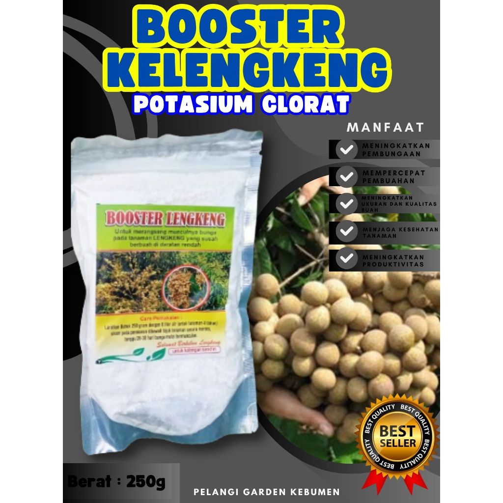 PALING DICARI  Boster Kelengkeng Cangkokan, Boster Kelengkeng Cristal