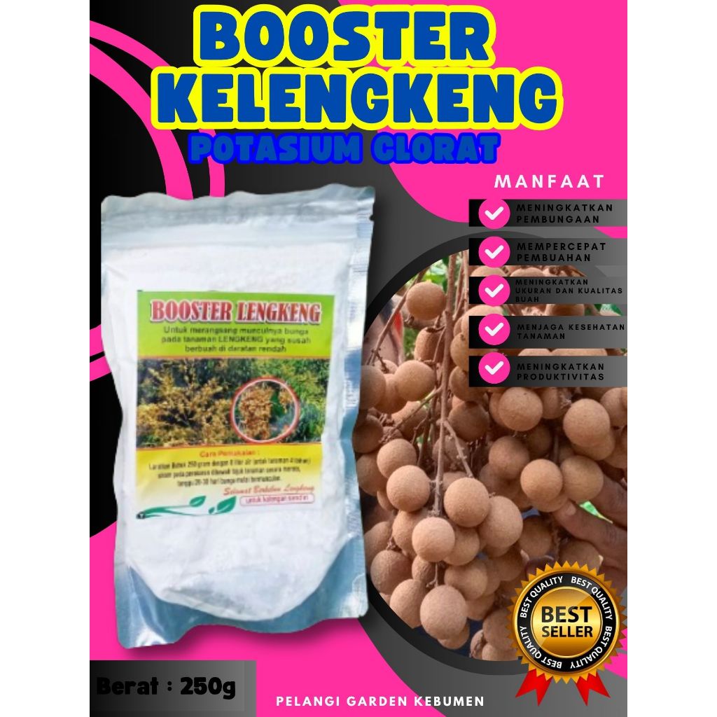 TERBAIK  Booster Kelengkeng Bubuk, Booster Kelengkeng Berbuah, Booster Kelengkeng Berbunga