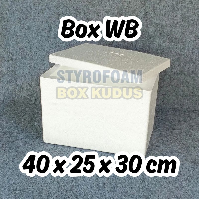REGULER HEMAT KARGO - BOX WB - Styrofoam Box Baru Penyimpanan Packing Frozen Food Box Ikan Wadah Ika