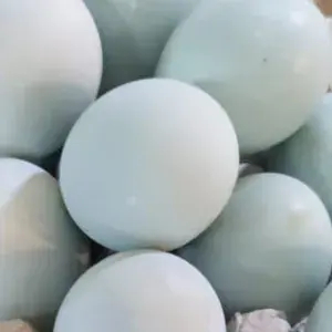 

telor asin mateng/biji