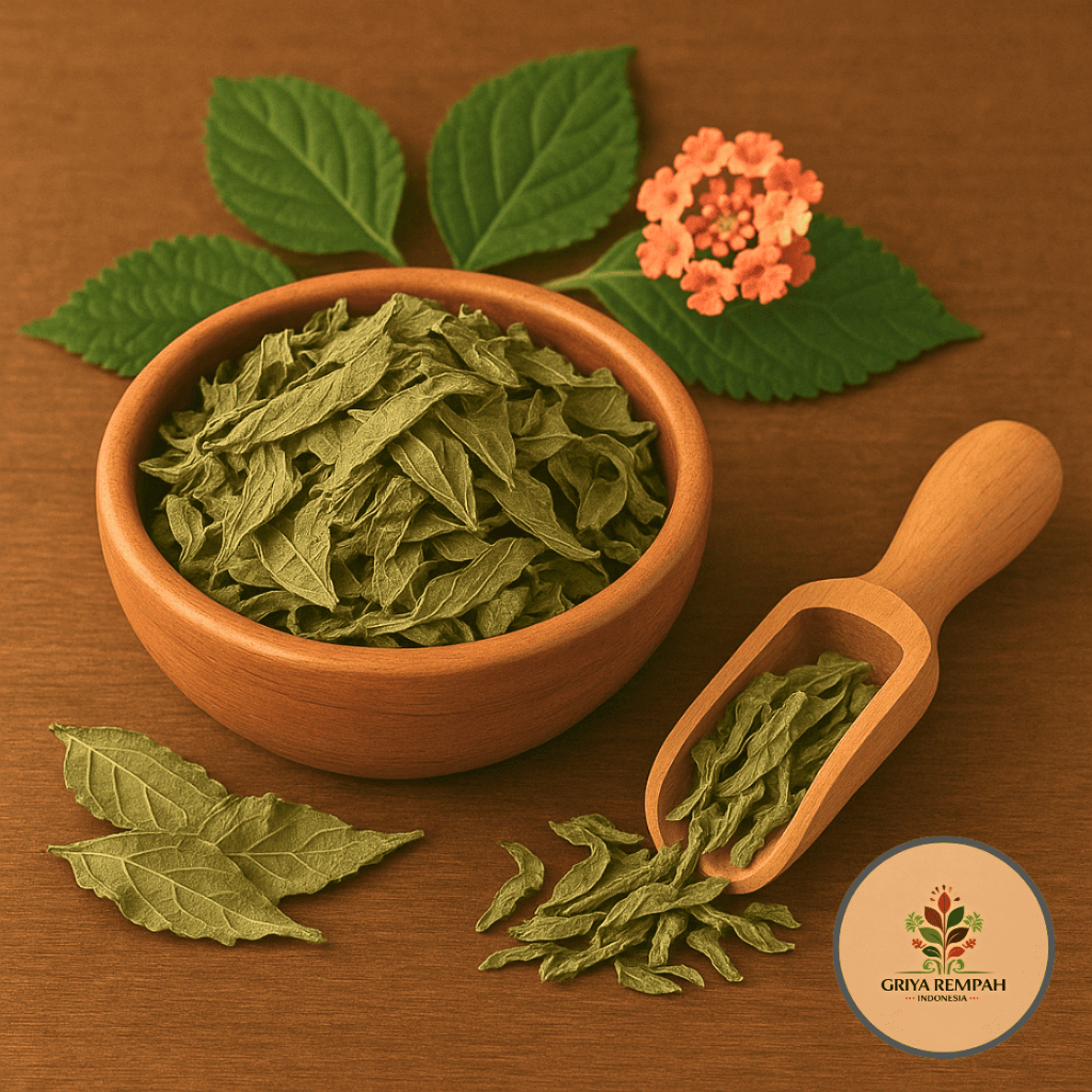

DAUN TEMBELEKAN KERING 100 GRAM Saliara Lantana Camara Rempah Herbal Simplisia Alami Tradisional untuk Kesehatan & Ramuan Jamu Tahi Ayam