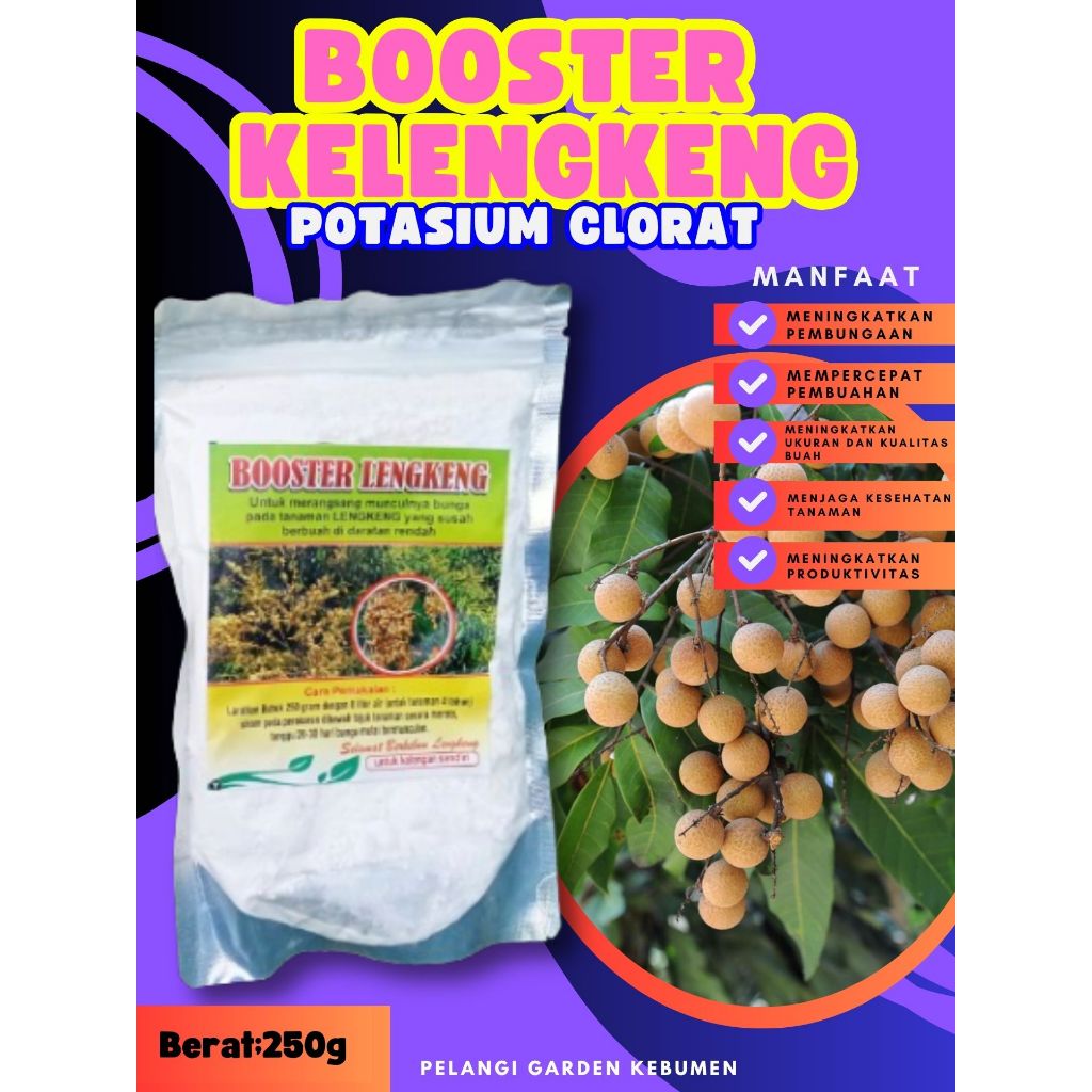 UNGGULAN  Booster Buah Kelengkeng Sudah Berbunga, Booster Buah Kelengkeng Siap Berbuah, Booster Buah