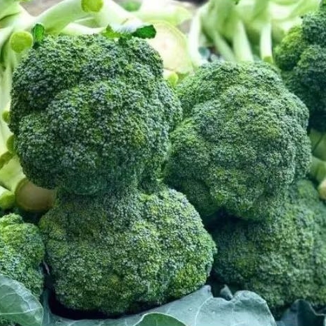 

Brokoli Import 500 gram