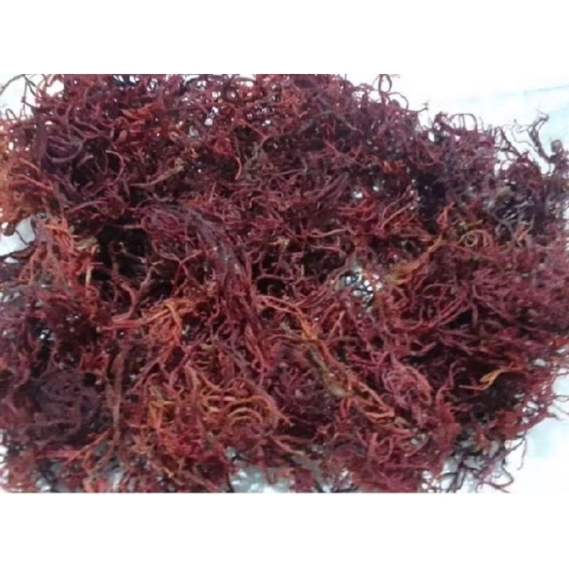 

rumput laut kering jenis alga merah 1kg
