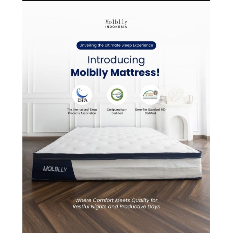 Kasur springbed in the box molblly