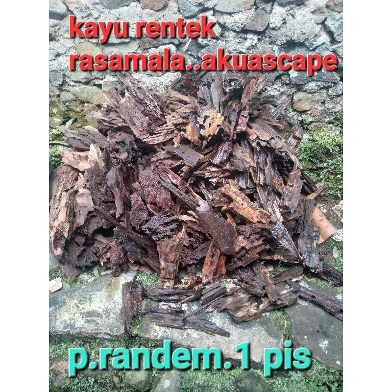 kayu rentek mini randem.1 ps tenggelam