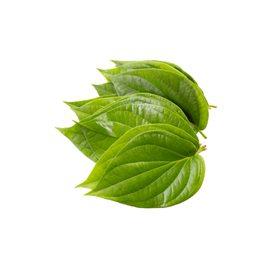 

Daun sirih segar per lembar fresh