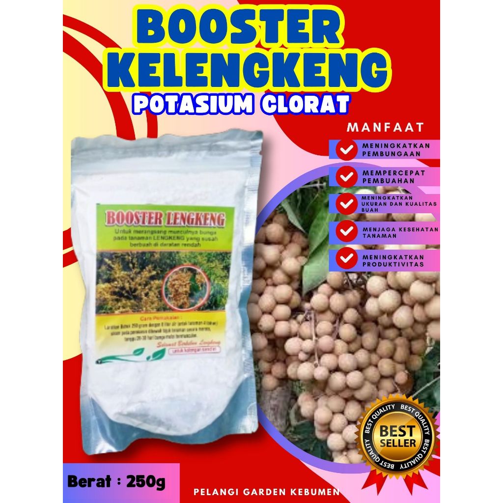 KUALITAS TERBAIK  Booster Kelengkeng Matalada Berbuah, Booster Kelengkeng Merah Cangkok Berbuah, Boo