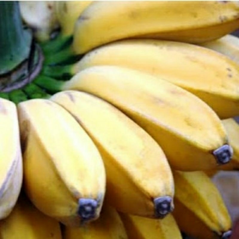

pisang kepok 12000 1kg atau 1 sisir