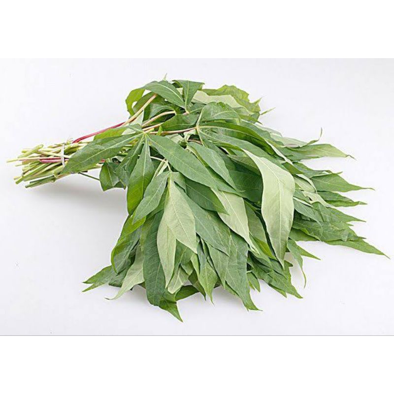 

Daun Singkong 1 Ikat