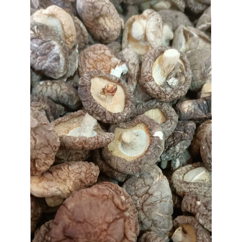 

LL - hioko / hio ko / jamur kancing mushroom 500gram dan 1 kg