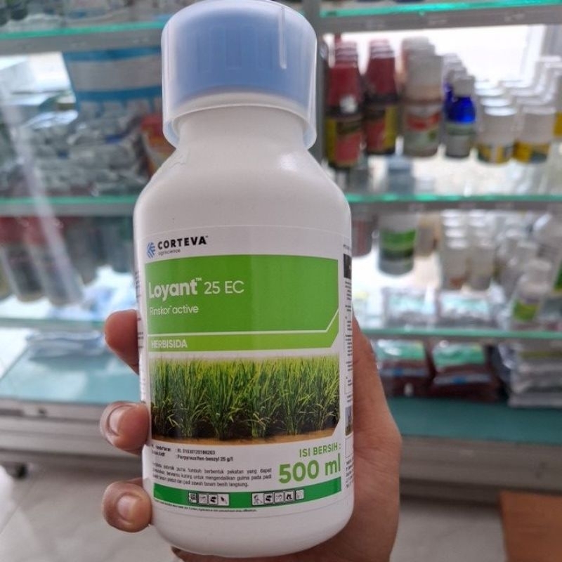 Loyant 500ml