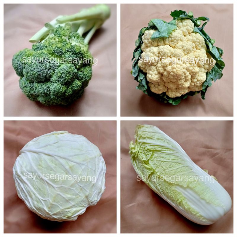 

Brokoli / Kembang Kol / Sawi Putih / Kol / Kubis 500gr