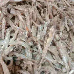 

teri jengki belah / Ikan