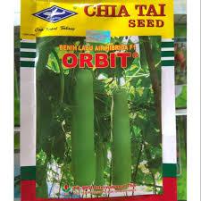 benih labu air blonceng ORBIT 10gram