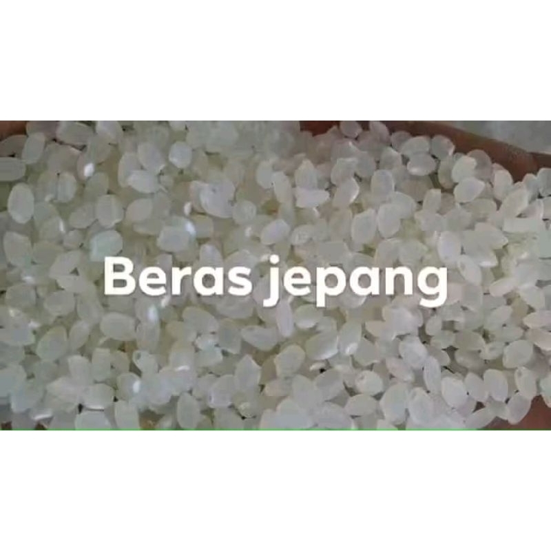 benih padi japonica kemasan 5 kg