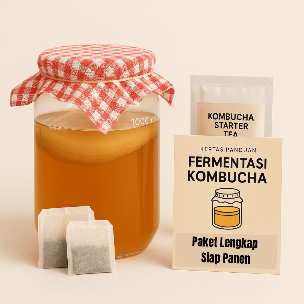 

SCOBY Kombucha Paket DIY Terlengkap - Teh Kombucha Siap Panen dan Fermentasi - SJY Shop Promo
