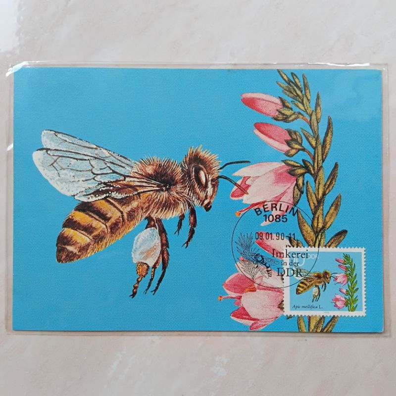 

Kartu Pos Koleksi Filateli Jerman Bee Lebah 1990 - YN2361