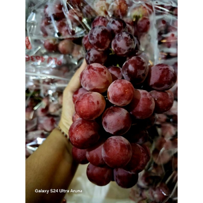 

Anggur Red Globe manis