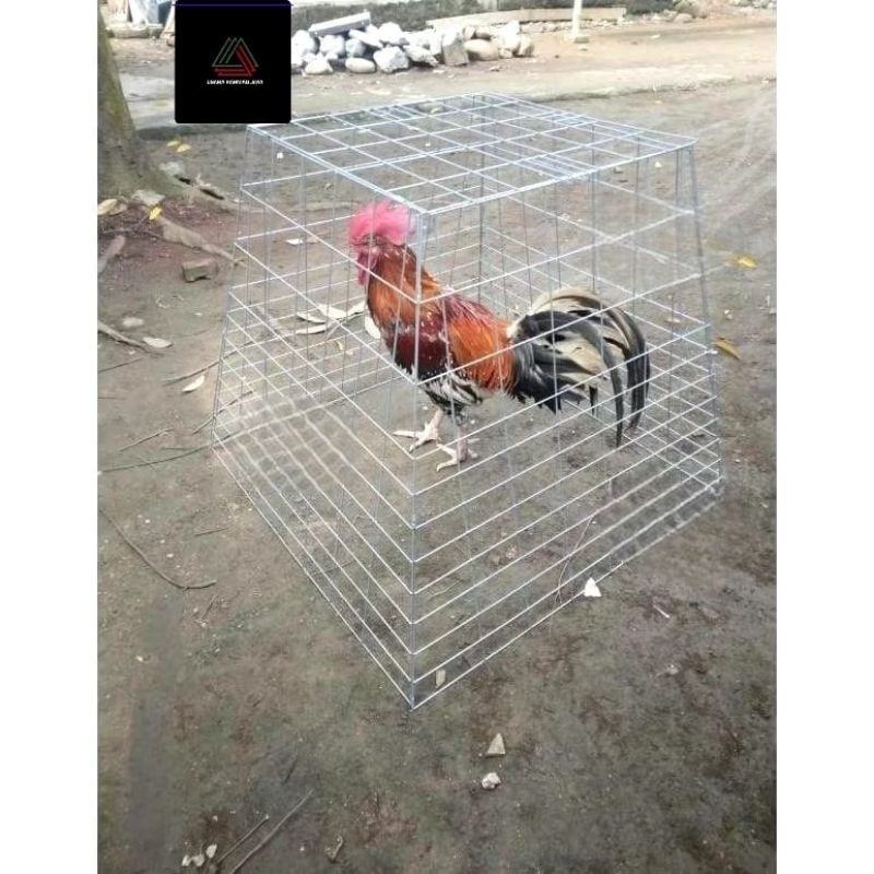 Ay00 Kandang Ayam Bangkok Piramid Galvanis Besi Lipat