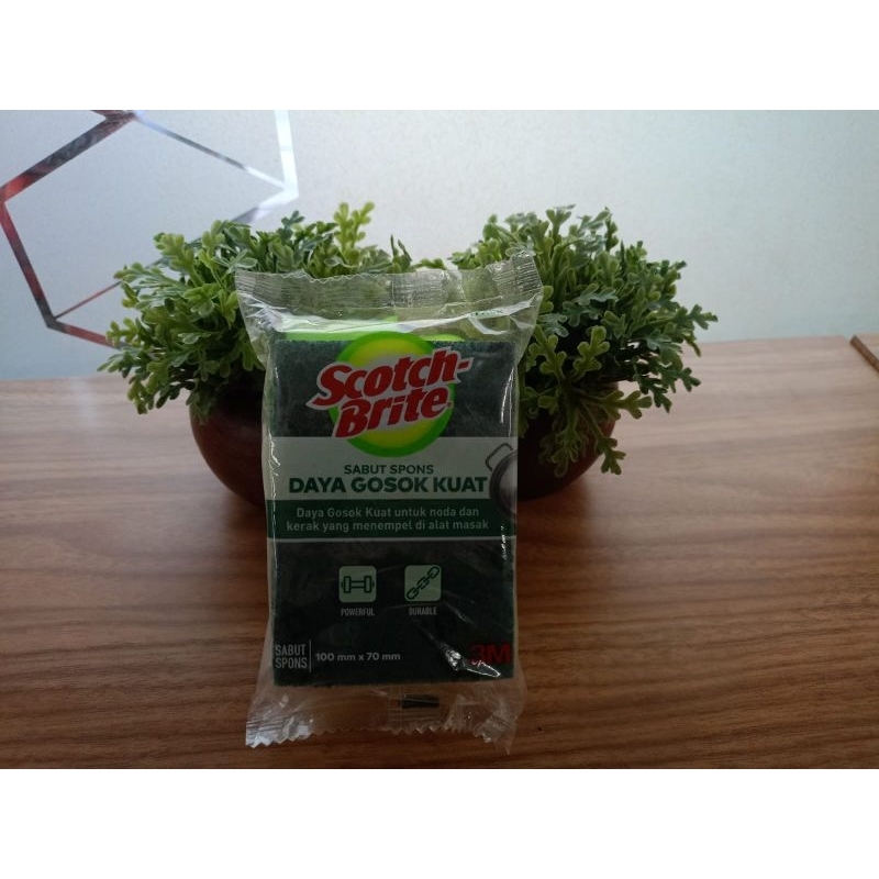 scotch brite sabut spons standar