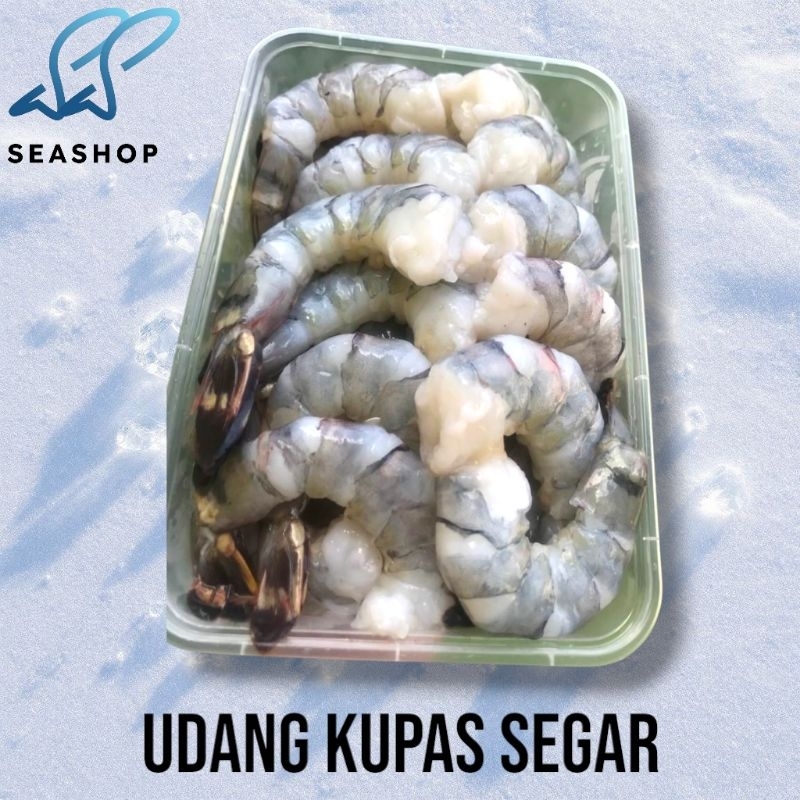 

Udang Pacet Kupas Segar - Udang Tiger Windu Kupas - Fresh