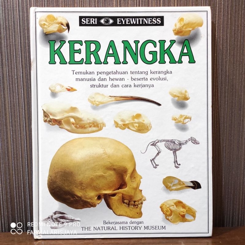 Buku Seri Eyewitness Jilid 3 Kerangka
