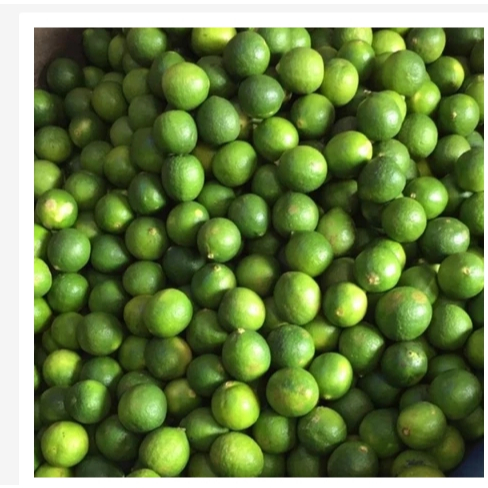 

Jeruk nipis 1kg