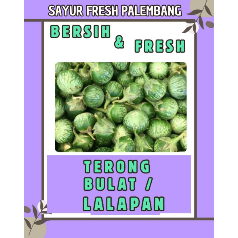 

TERONG BULAT / LALAPAN FRESH & BERSIH - PALEMBANG