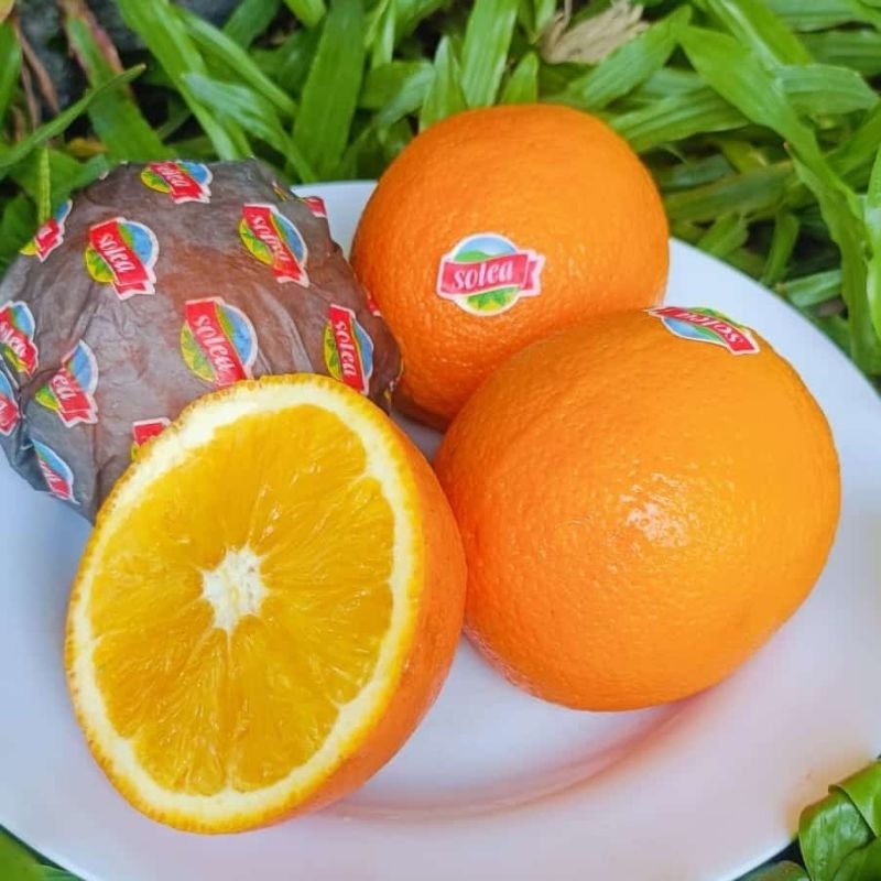 

JERUK SUNKIST / JERUK POTONG
