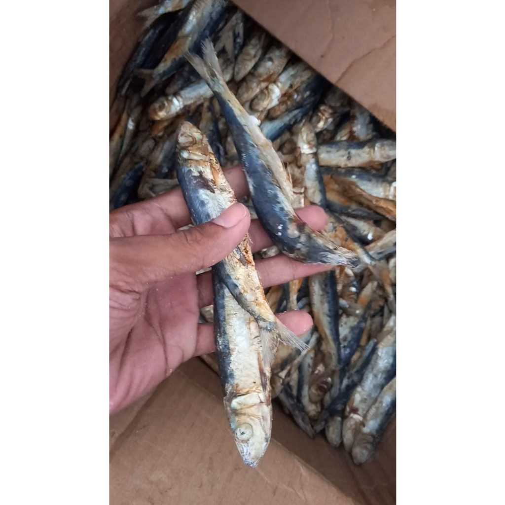 

ikan asin japuh belitung murah 500 grm