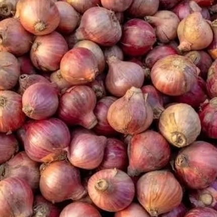 

250gr - Bawang Merah Jumbo Super Import India Bamer Mirip Bombay