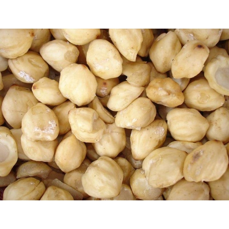 

Kemiri Bulat Utuh - Grade AA Kualitas Super Premium 1kg / 500gram