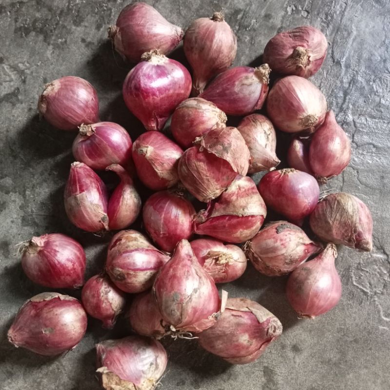 

bawang merah asli nganjuk (besar) 1kg