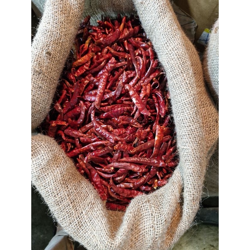 CABE RAWIT TEJA KERING KARUNGAN BERAT 10KG