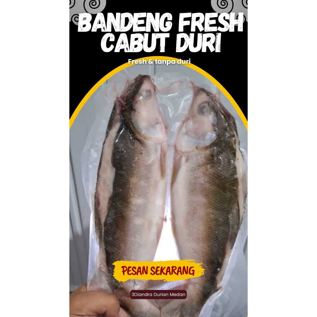 

bandeng Fresh Cabut Duri