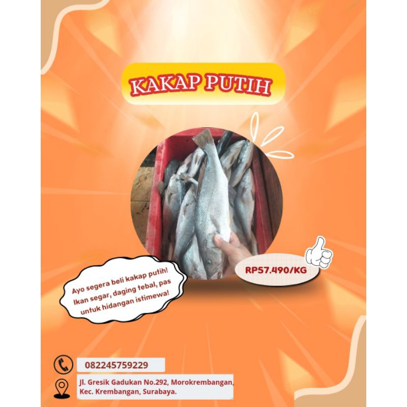 Kakap Putih Beku – Kualitas Ekspor 1 Kg | Fresh & Siap Masak
