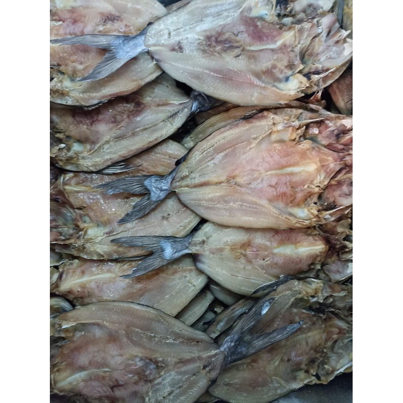 

ikan asin jambal roti biasa no 2 asli pangandaran