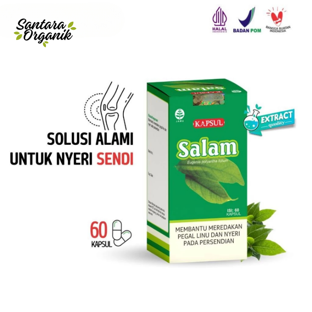 KAPSUL DAUN SALAM TAZAKKA ISI 60 KAPSUL