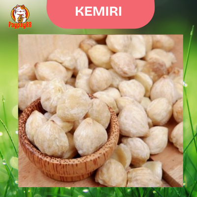 

KEMIRI BULAT ASLI KUALITAS PREMIUM / BUMBU DAPUR REMPAH