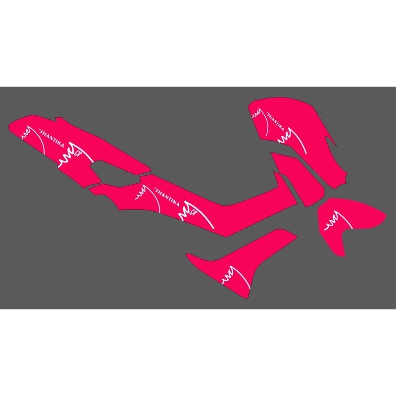 STRIPING TRANSPARAN NMAX OLD 155 LIVERY BUS SHANTIKA