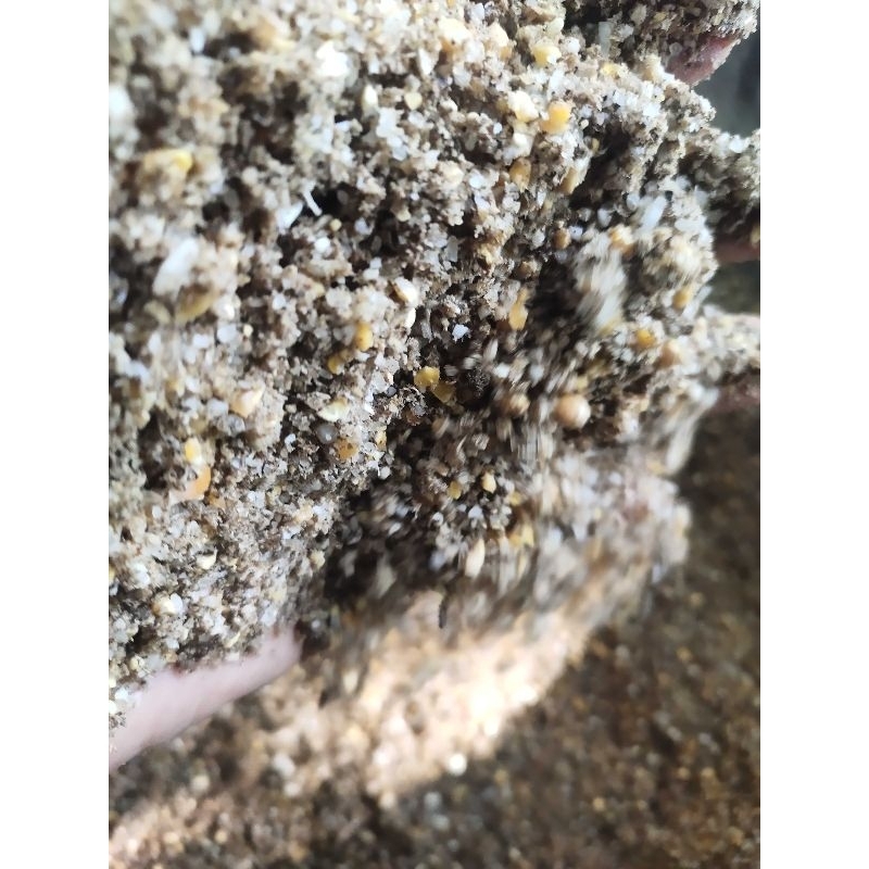 MAKRIFATBUSINESS Paket  500 gram  PAKAN RUMAHAN AYAM PEMBESAR DOC  Campuran Fermentasi Kering Beras 